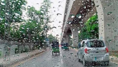 active rain
