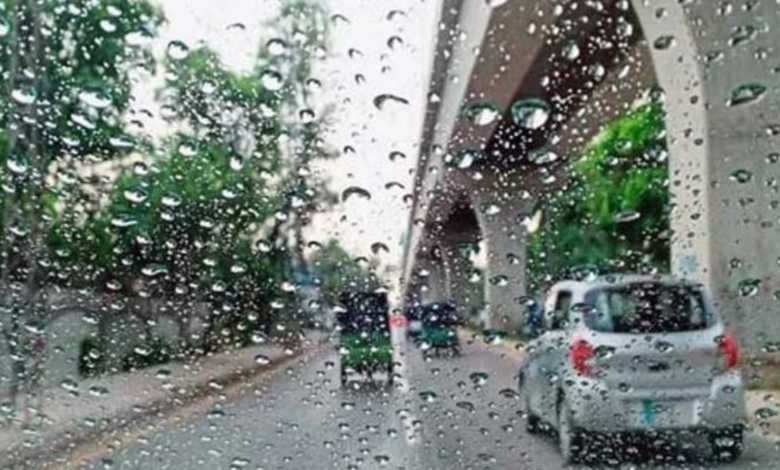 active rain